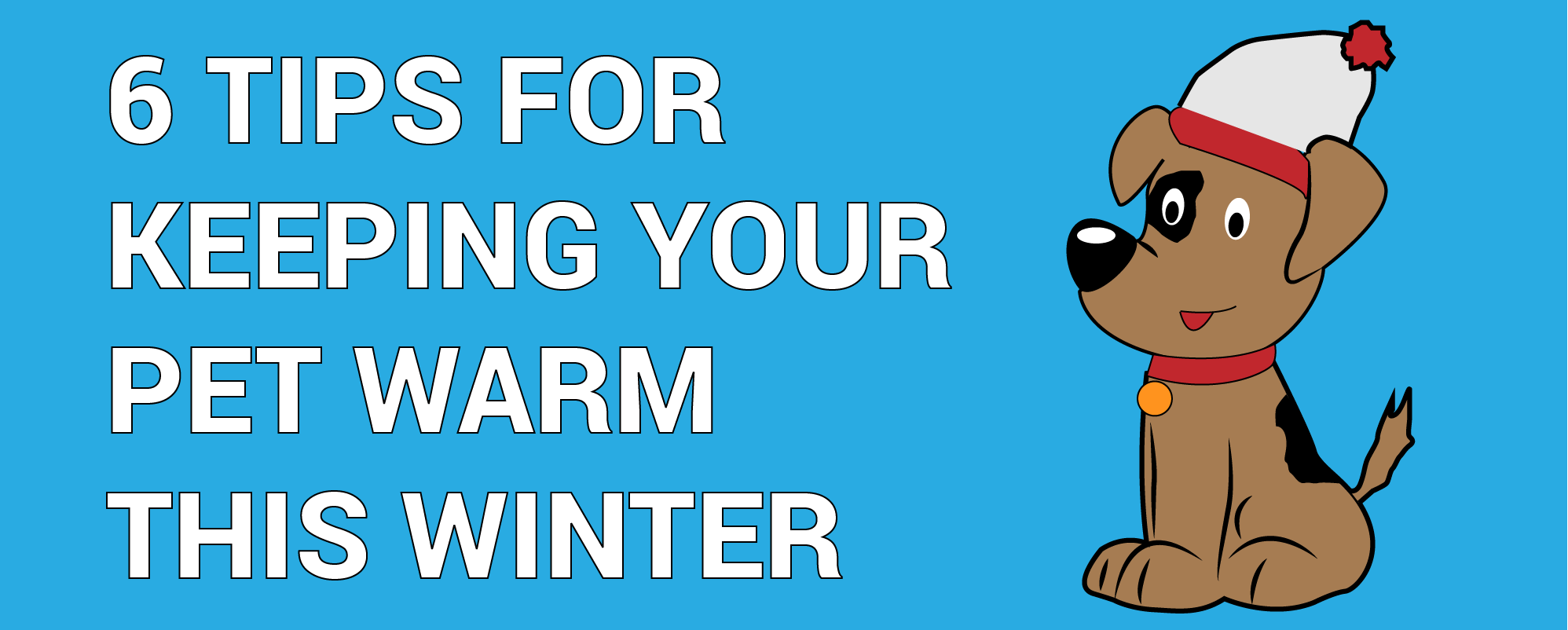 6 Tips for Keeping Your Pet Warm This Winter